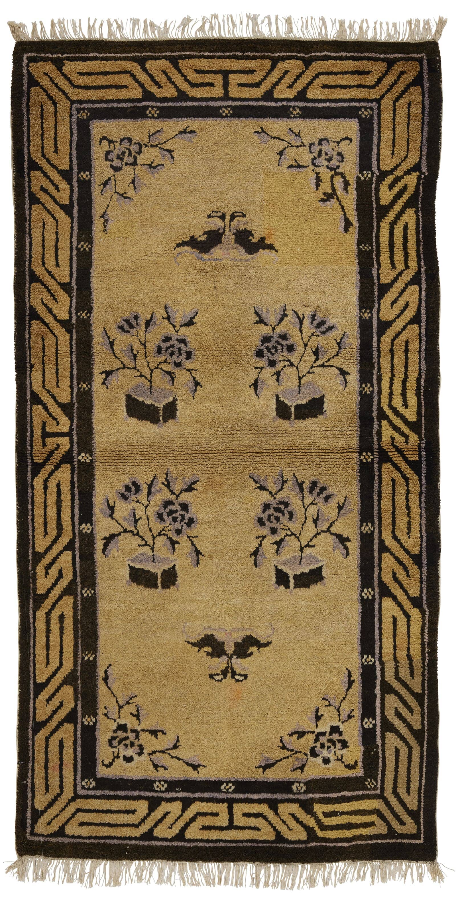 imersianvisualiserskip