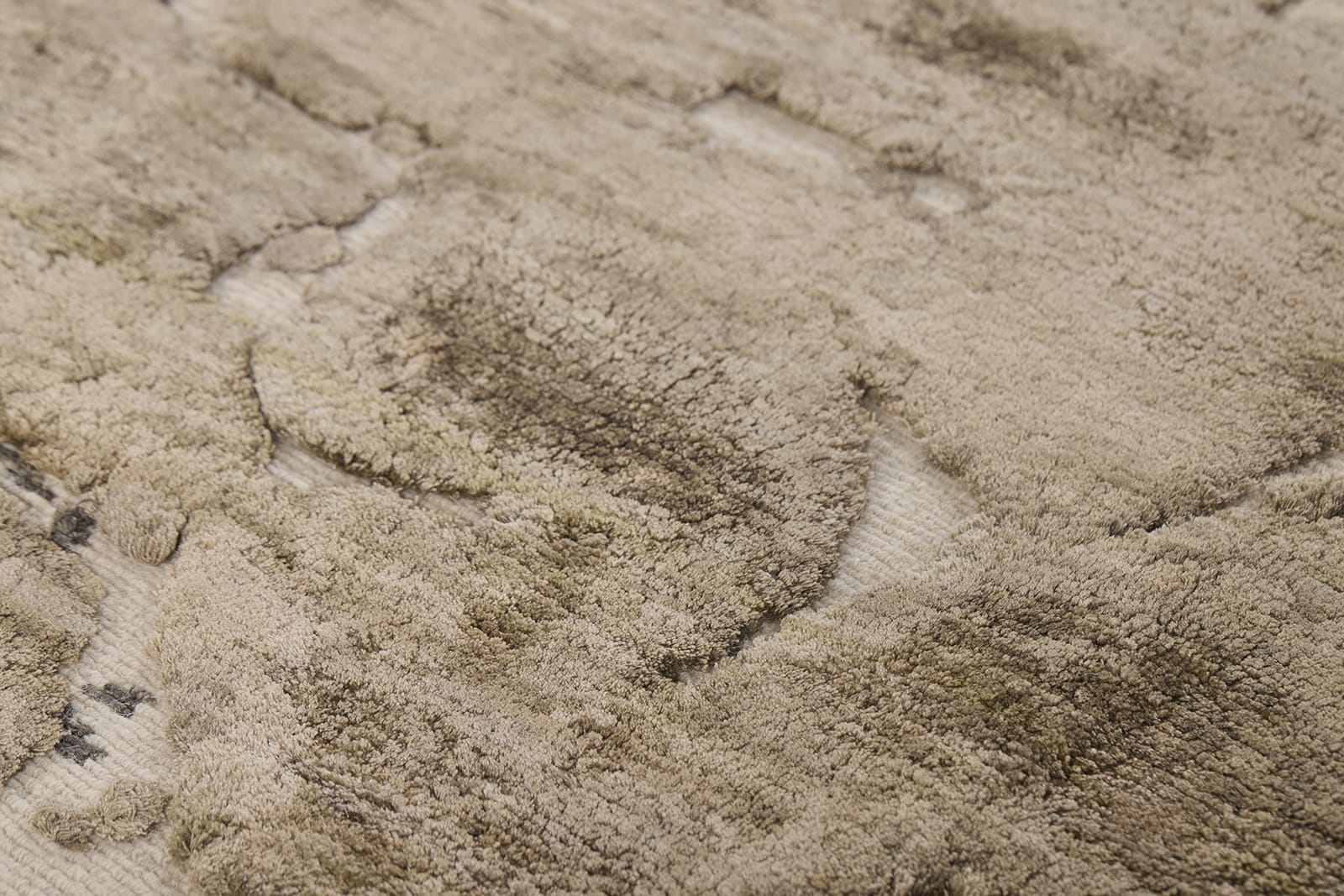 FOSSILBED II SANDSTONE