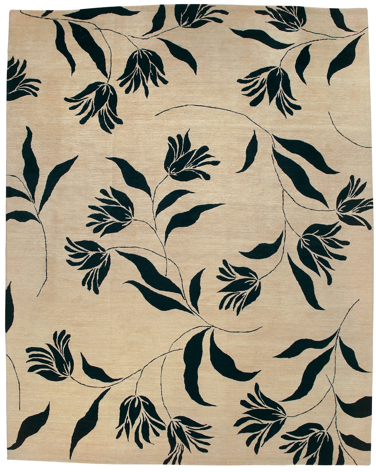 imersianvisualiserimage