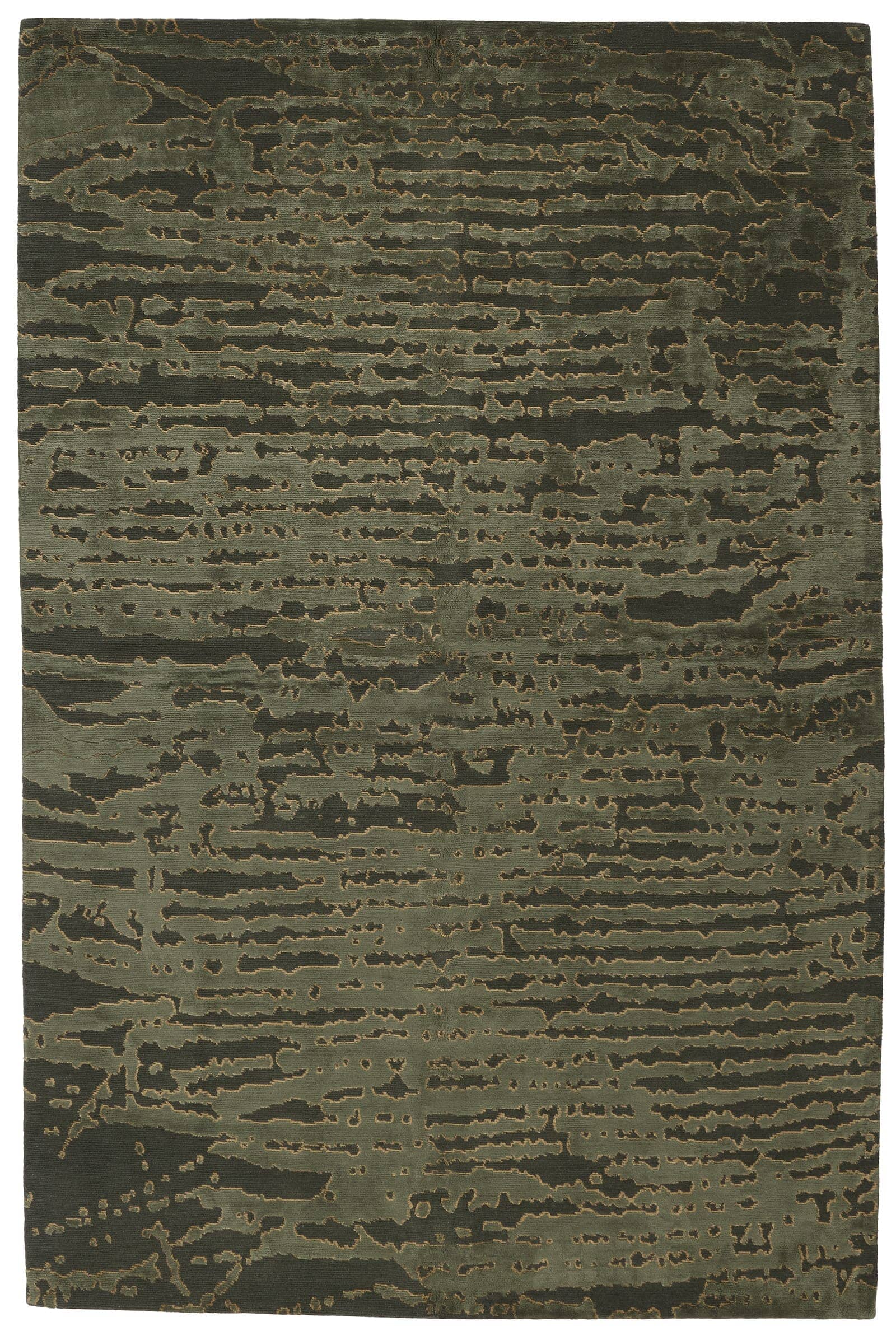 imersianvisualiserimage