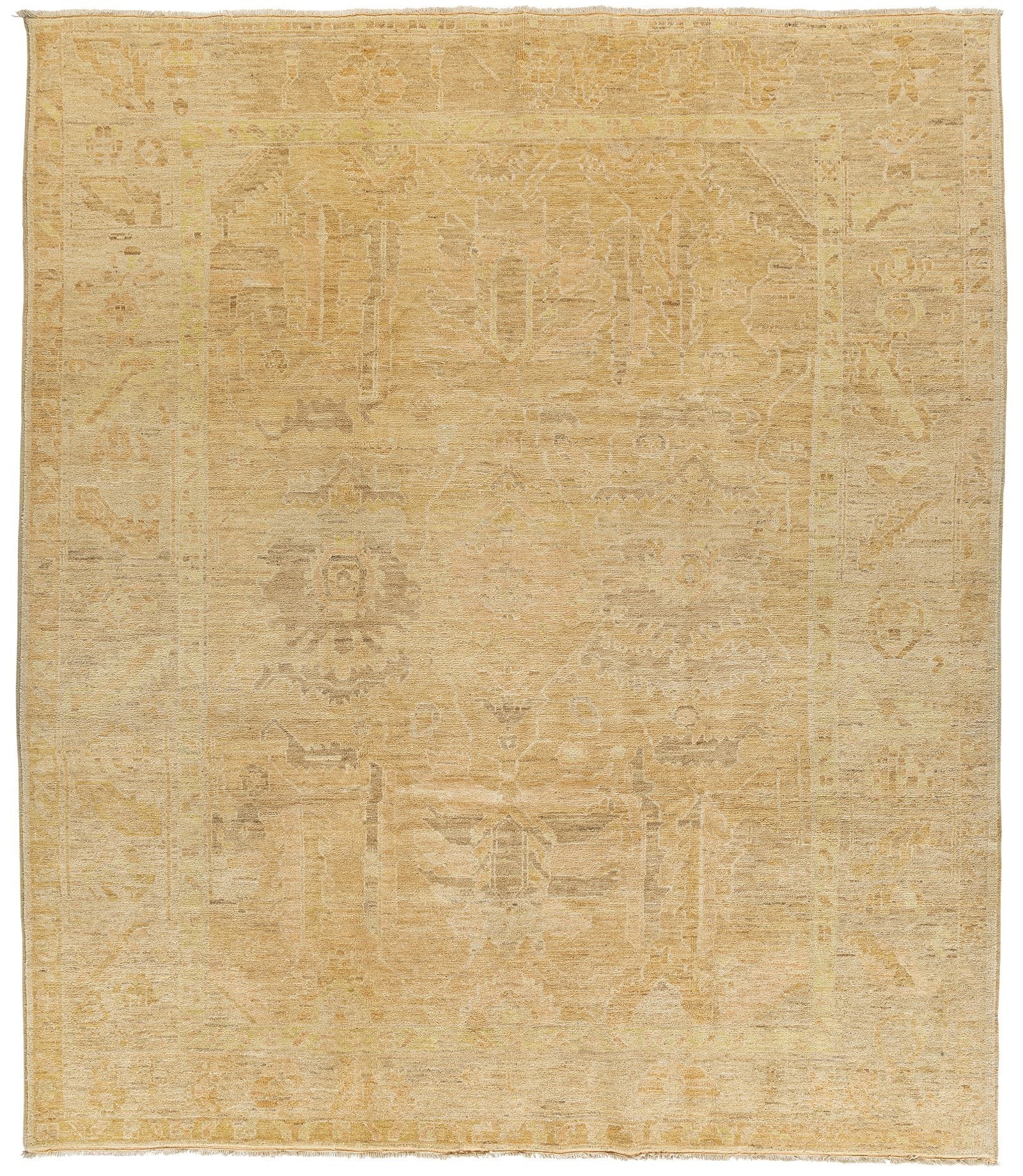 imersianvisualiserskip