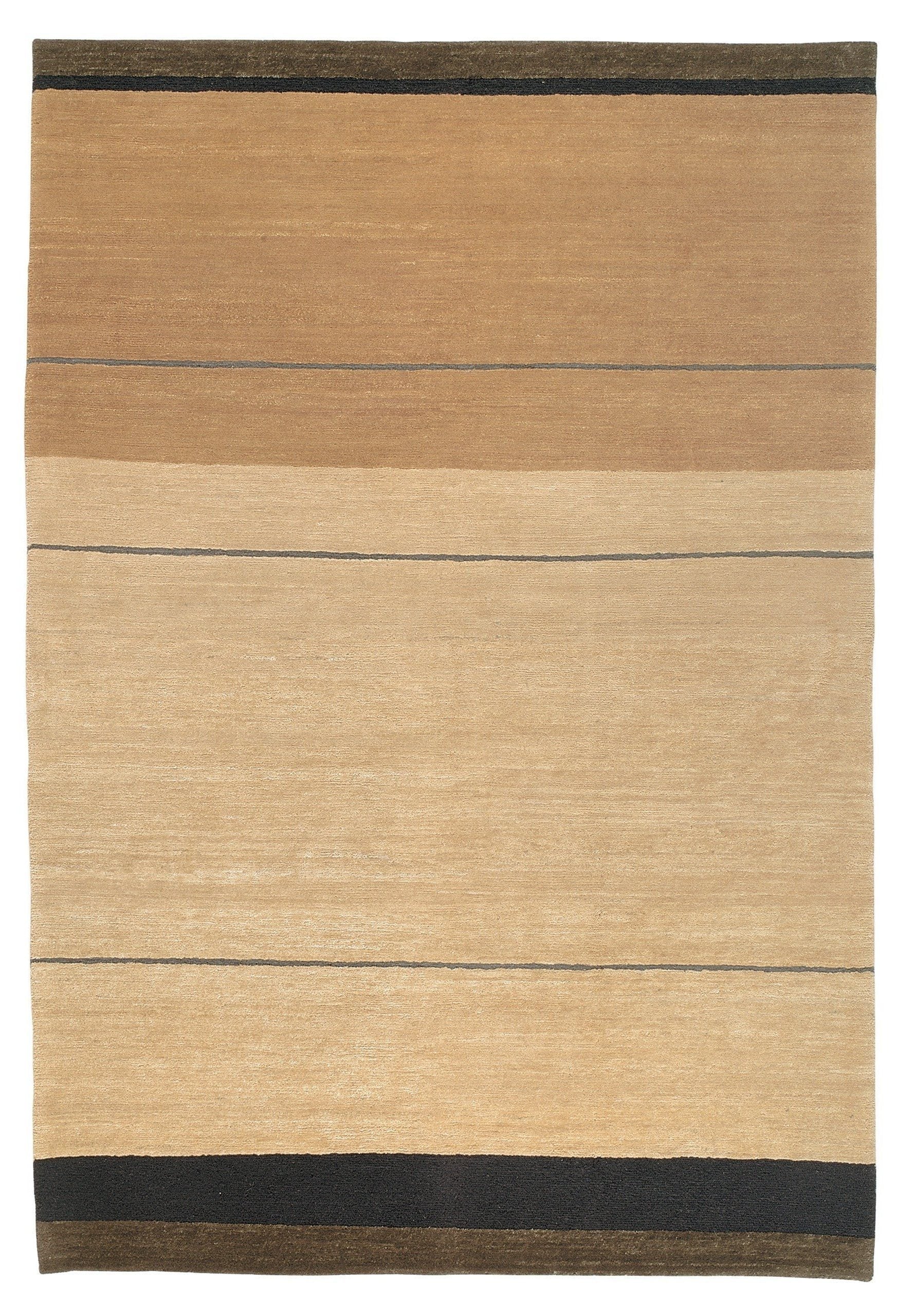 imersianvisualiserimage