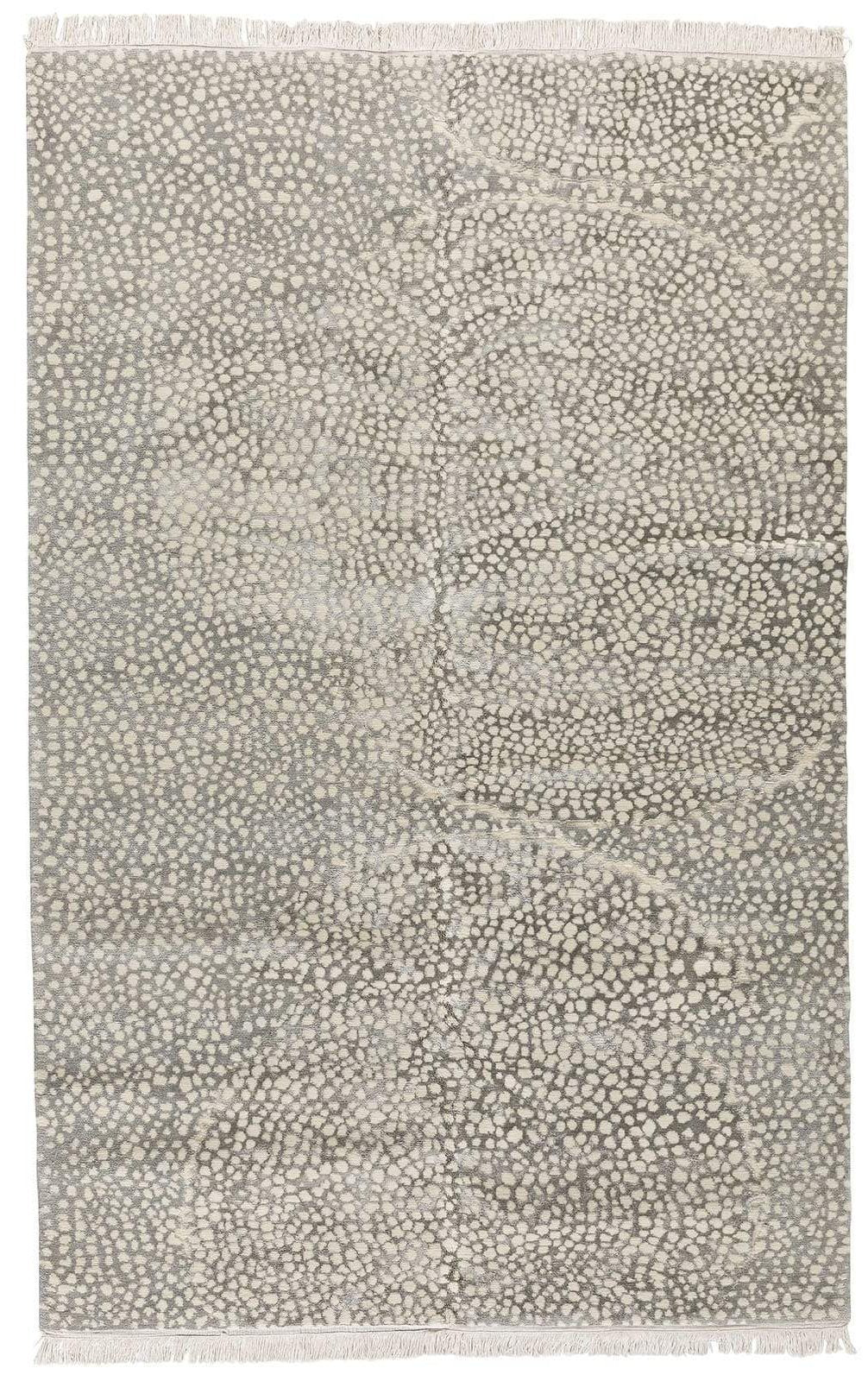 imersianvisualiserskip