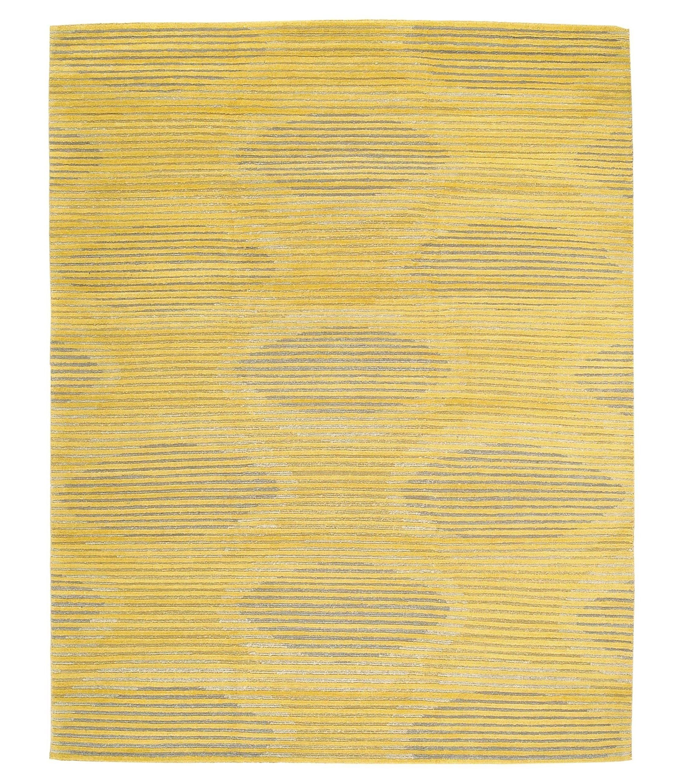 imersianvisualiserskip