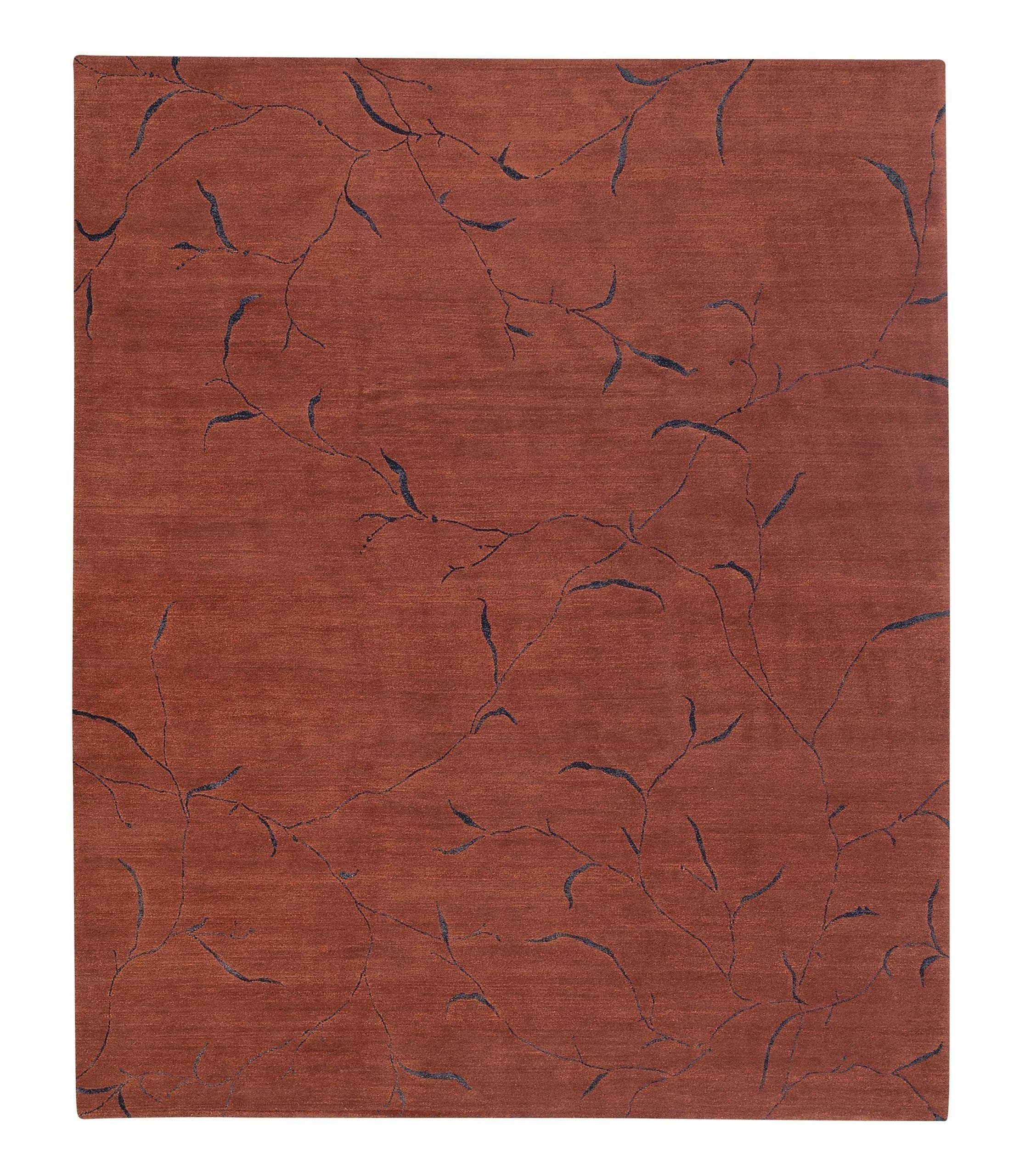 imersianvisualiserskip