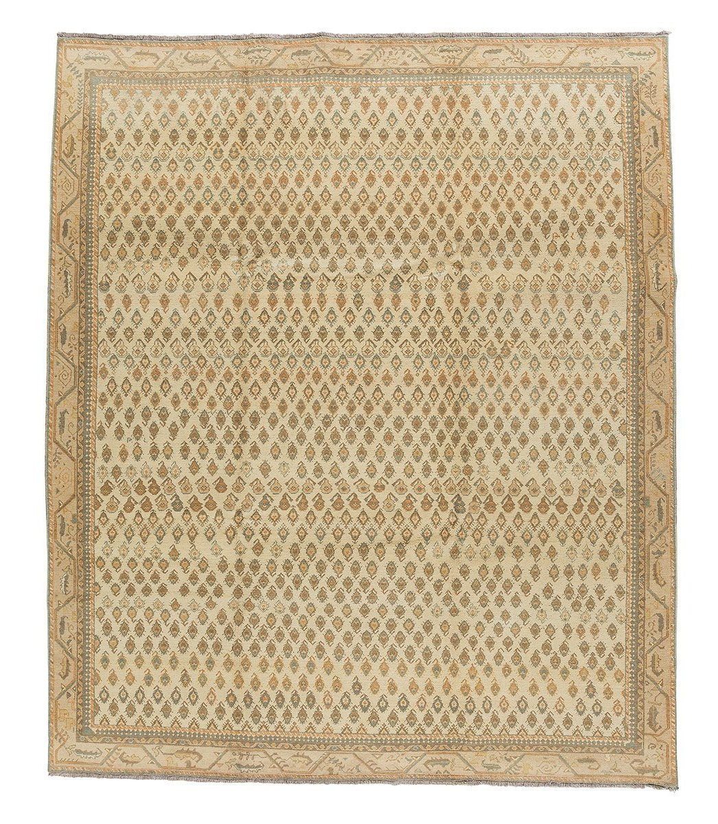 imersianvisualiserskip