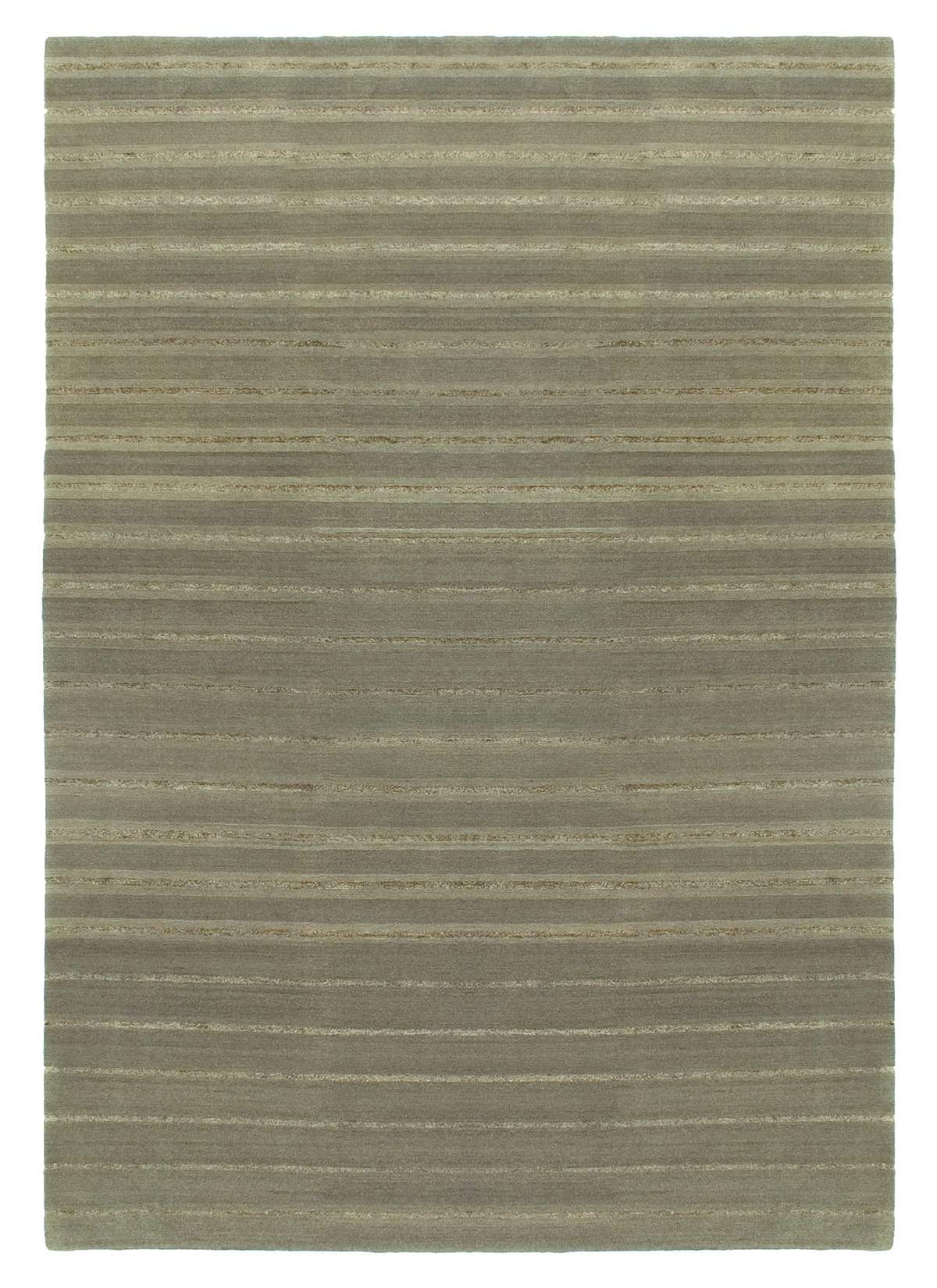 imersianvisualiserimage