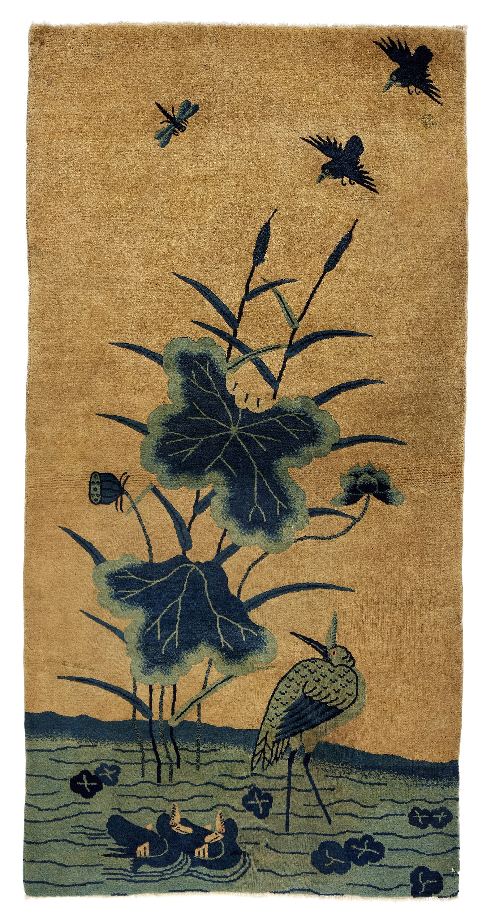 imersianvisualiserskip