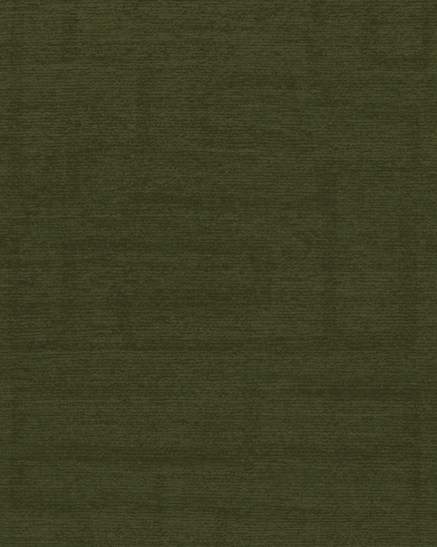 imersianvisualiserimage