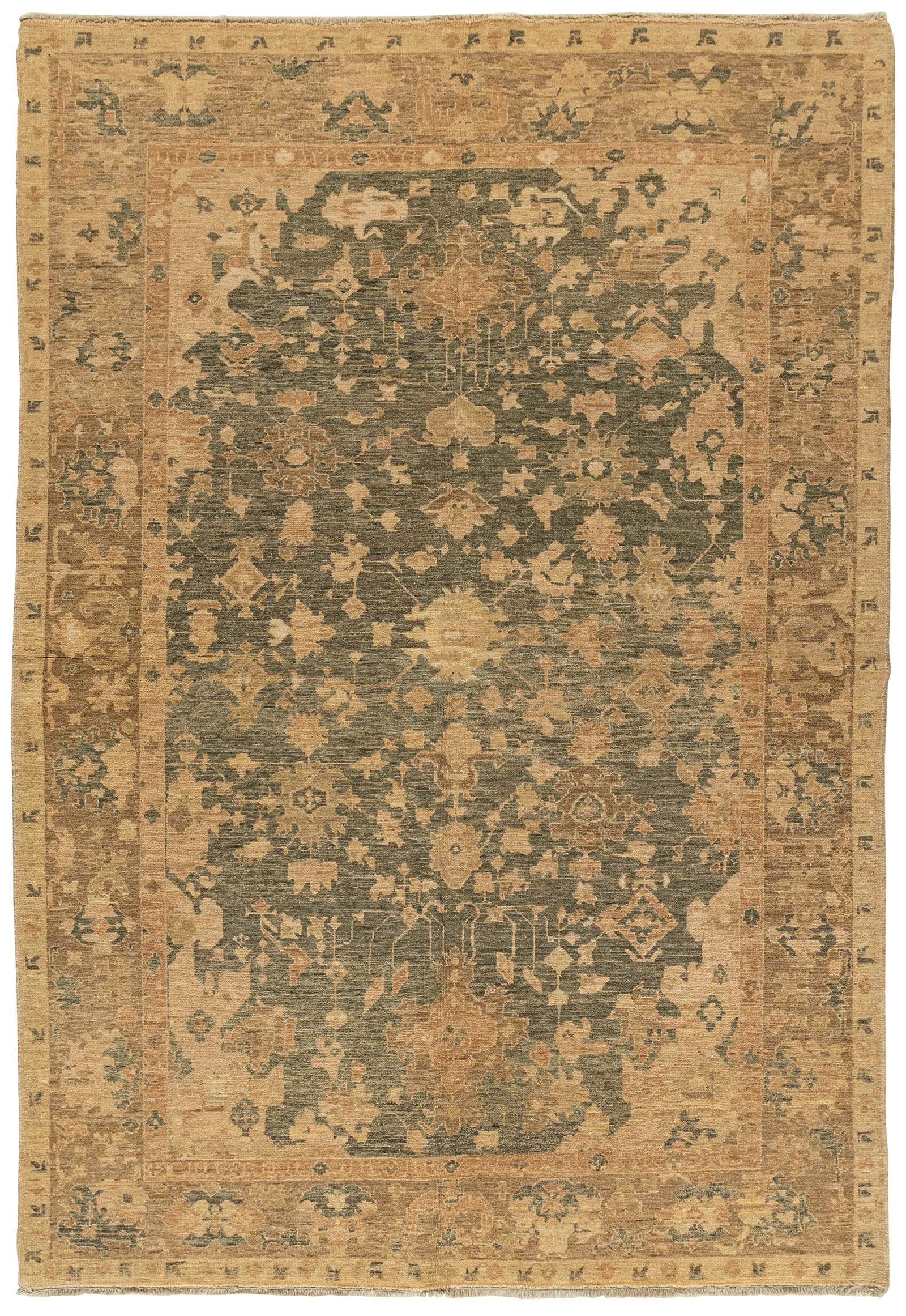 imersianvisualiserskip