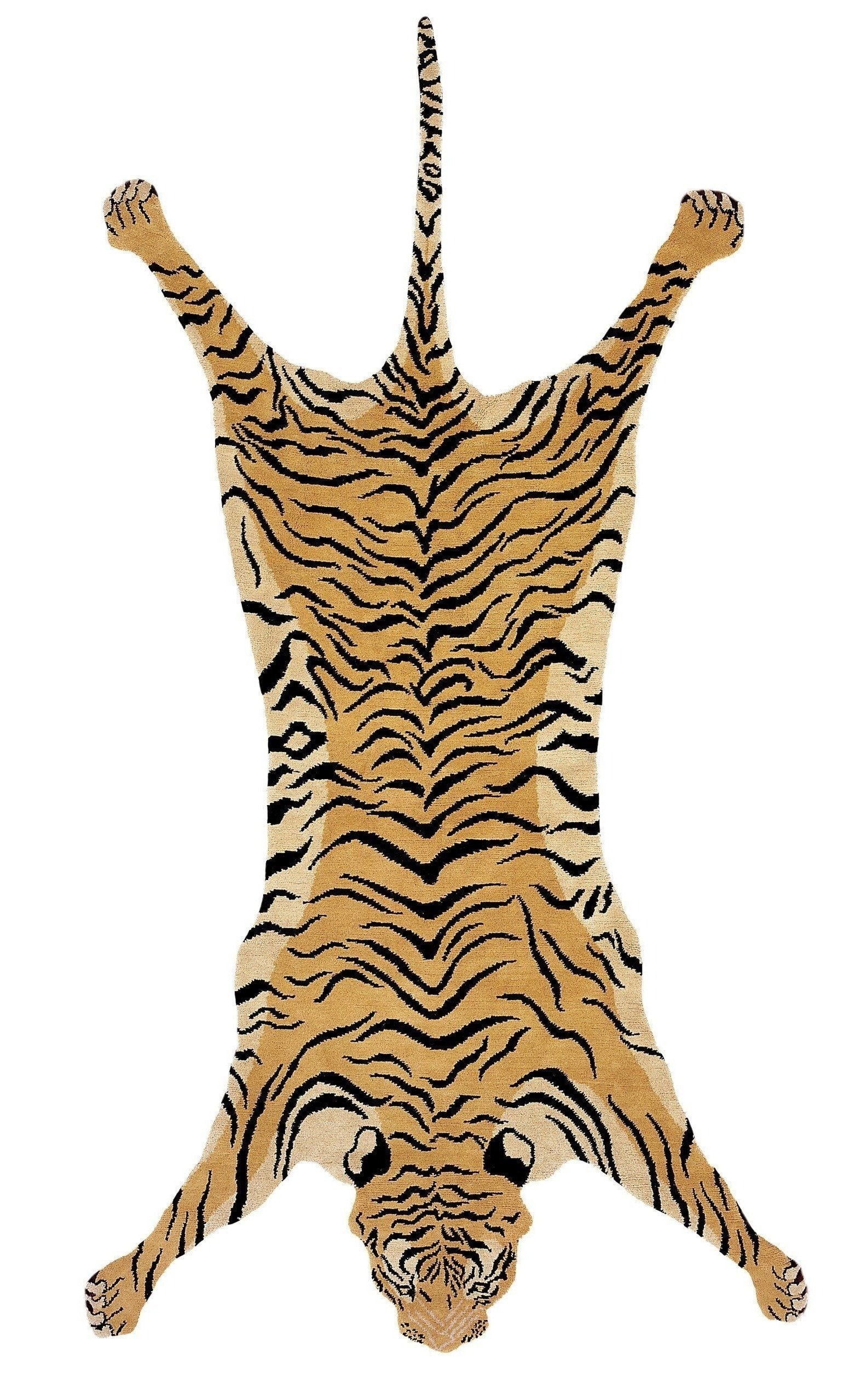 imersianvisualiserimage