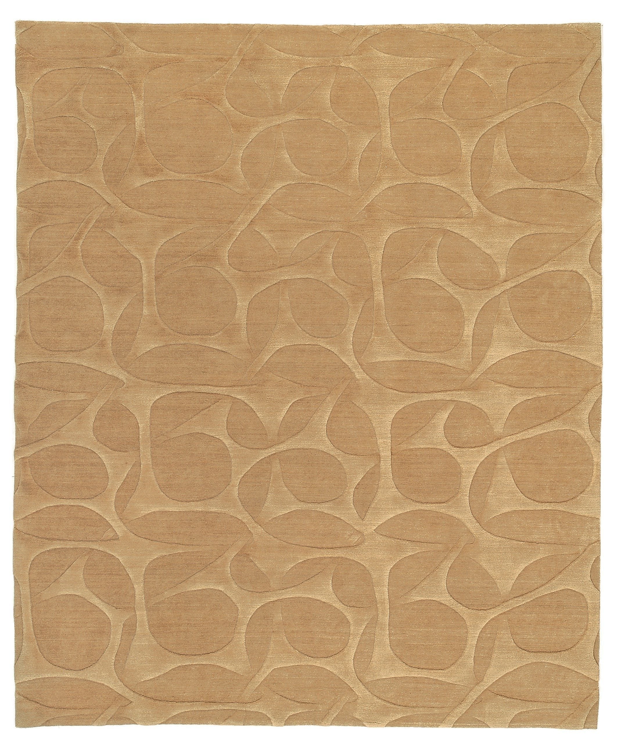 imersianvisualiserimage