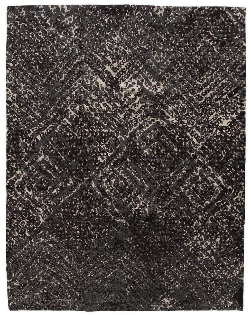 imersianvisualiserskip