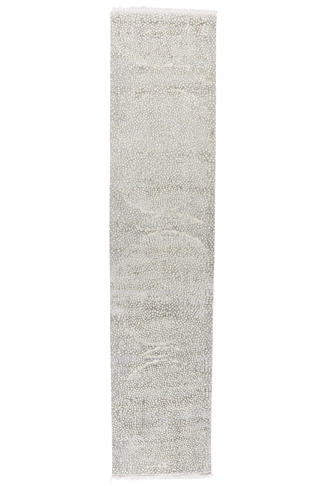 imersianvisualiserskip