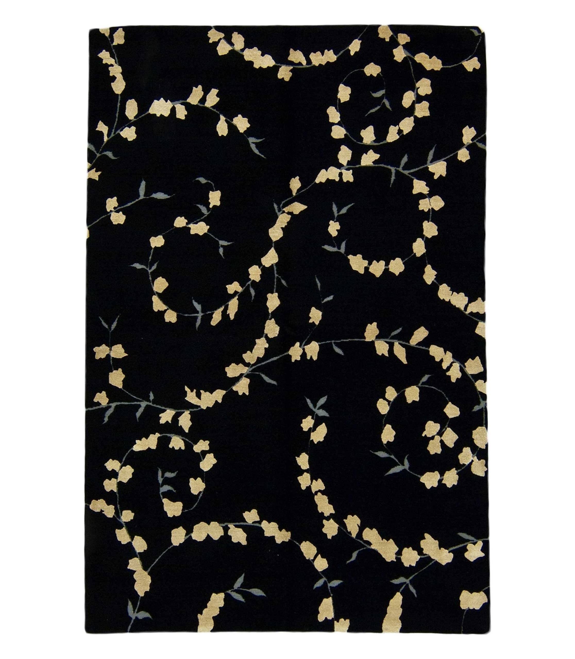 imersianvisualiserskip