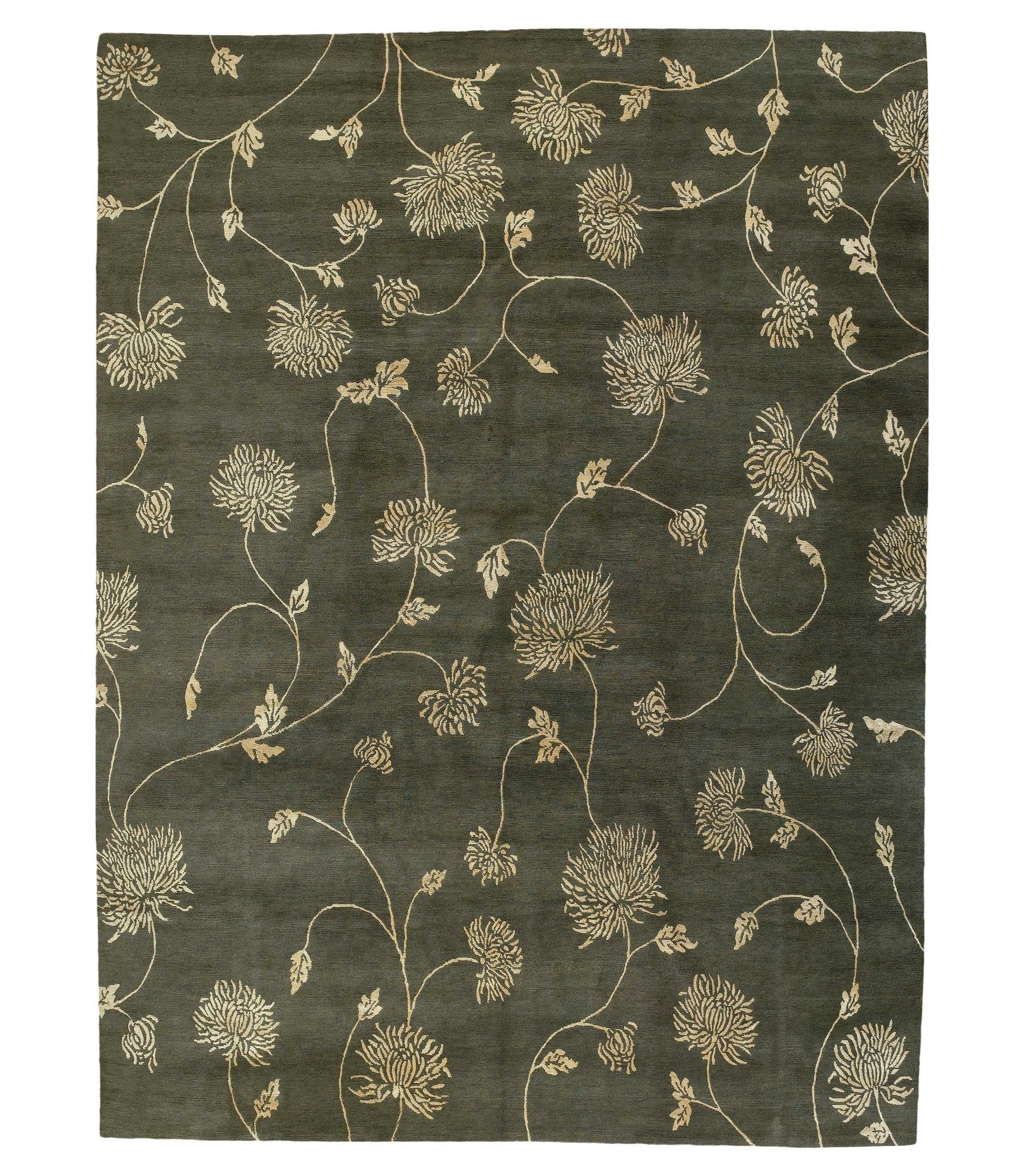 imersianvisualiserskip