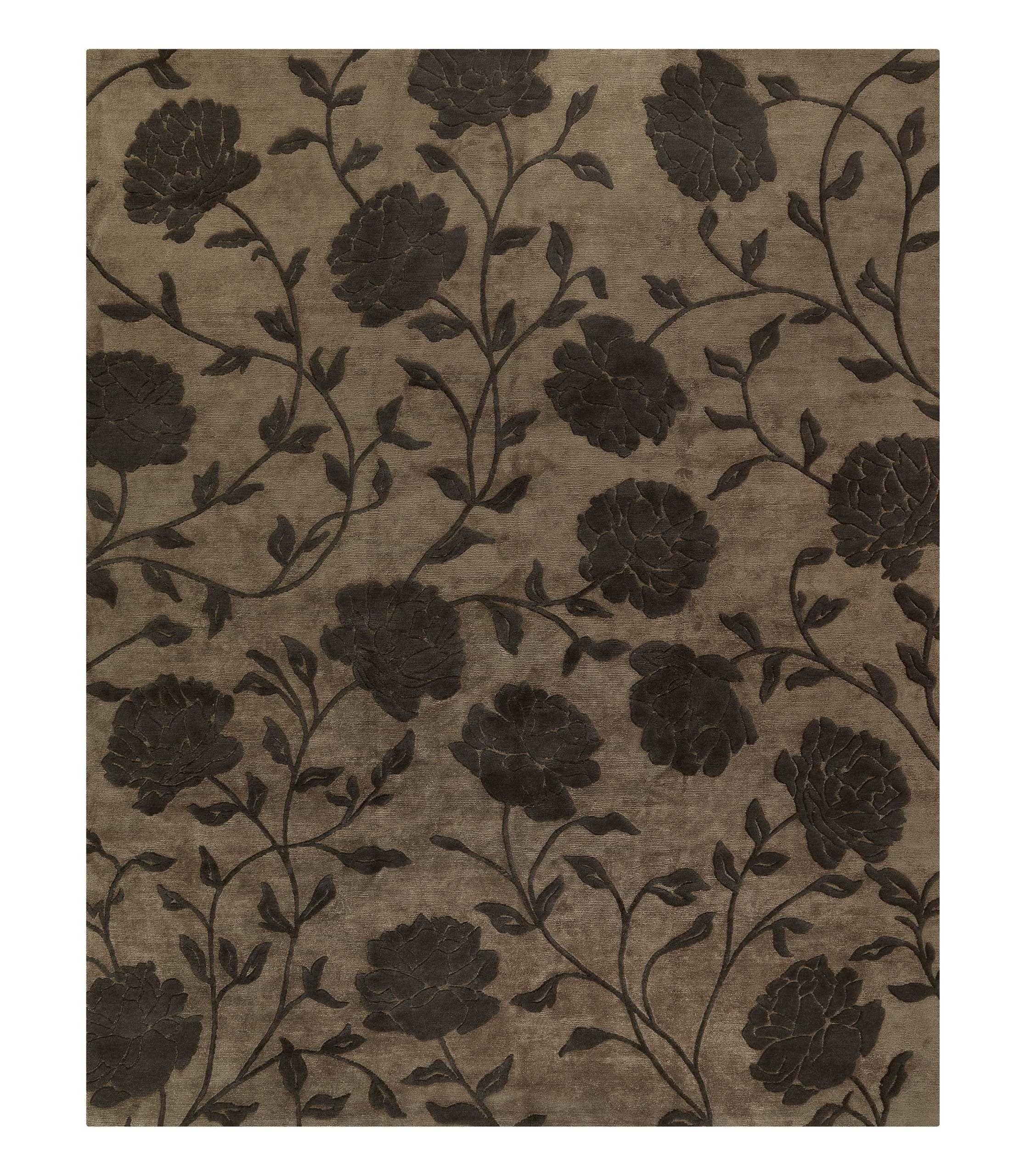 imersianvisualiserimage