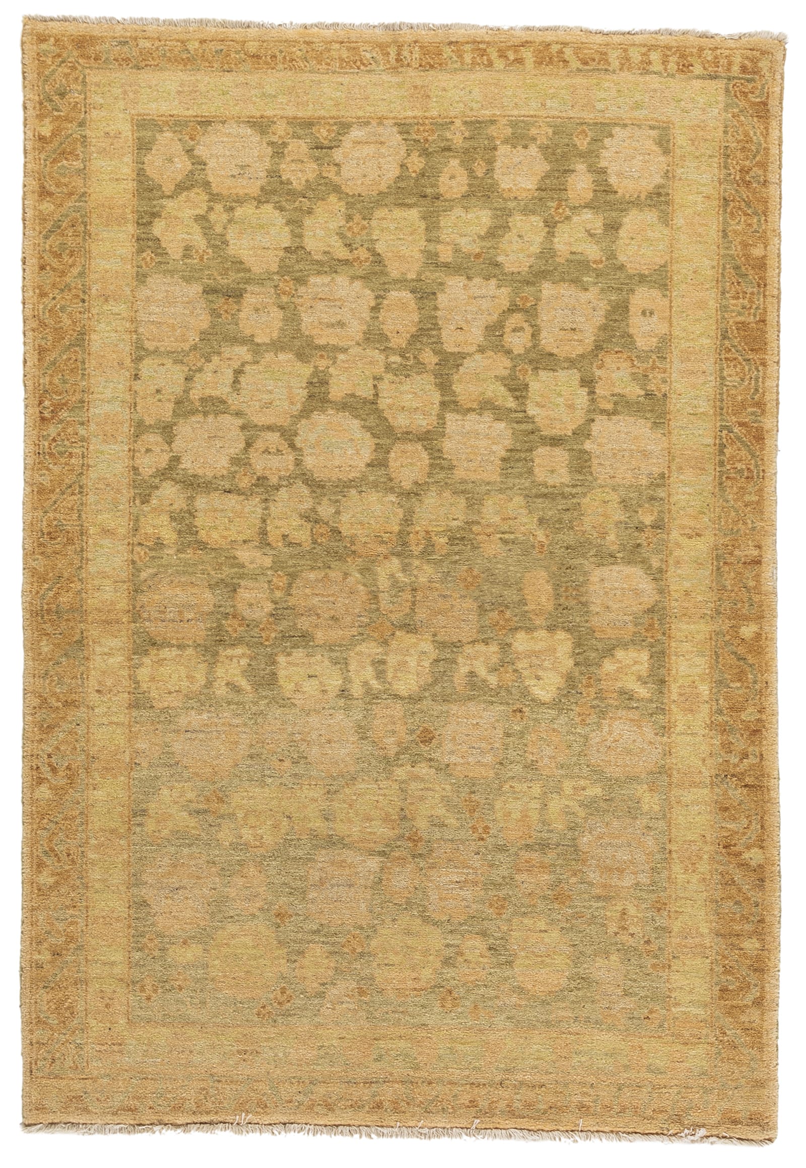 imersianvisualiserskip