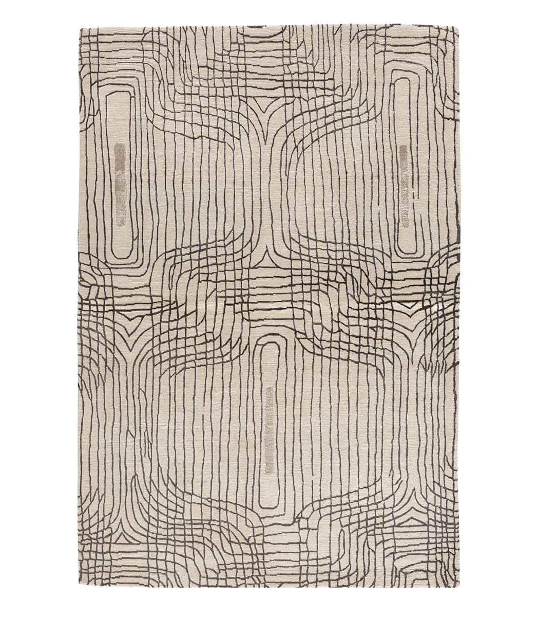 imersianvisualiserskip